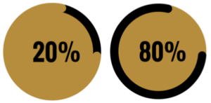 20/80 Productivity Model